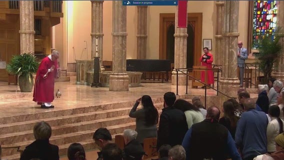 Palm Sunday celebrations held in Chicago and in Jerusalem