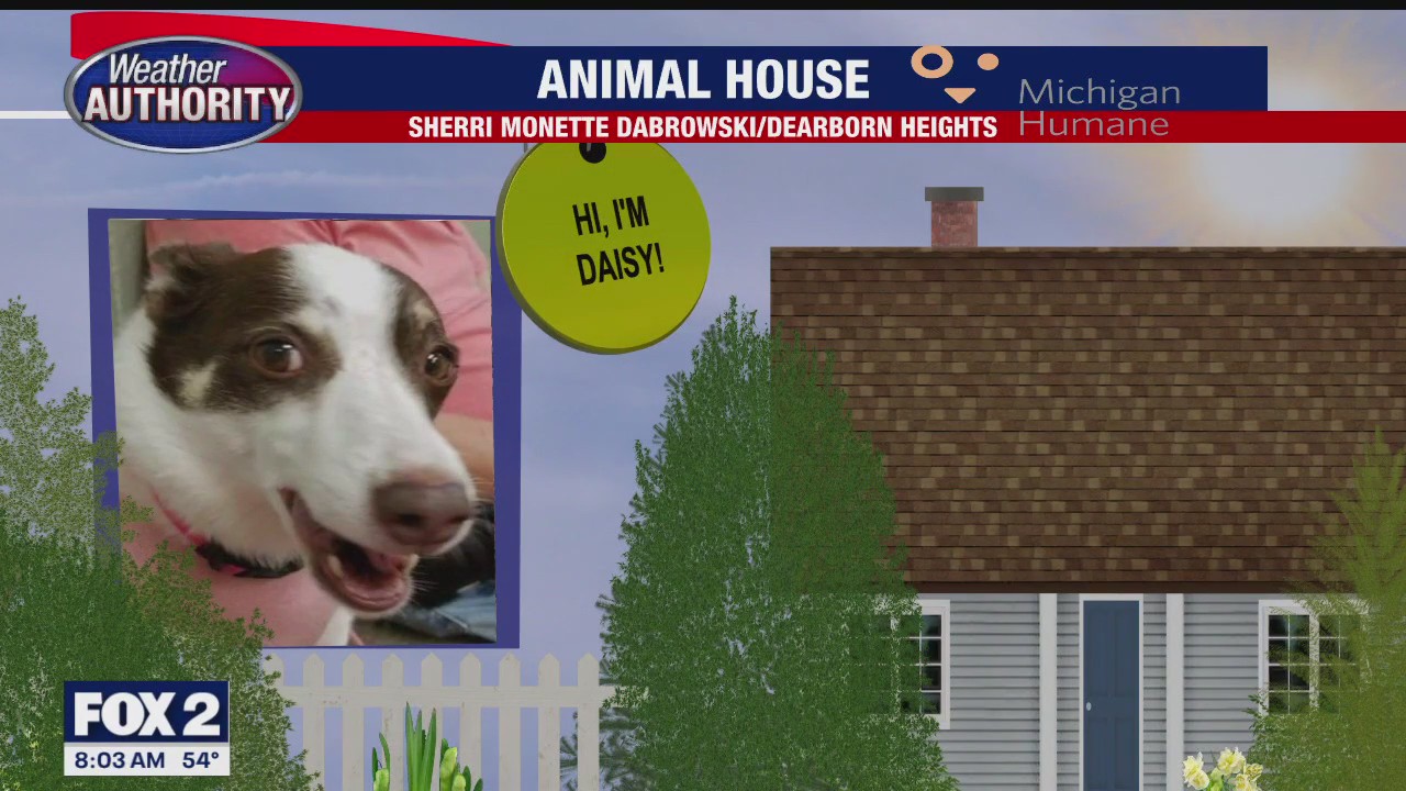 Welcome Daisy, Emmy Lou, Ben