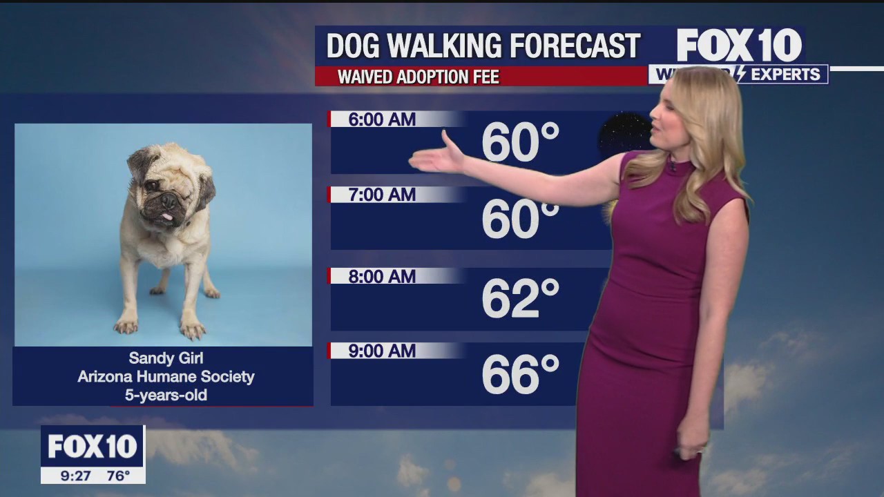 Weekend Weather Forecast