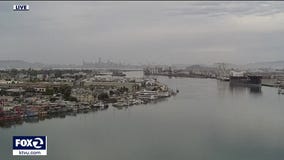 Showers have arrived