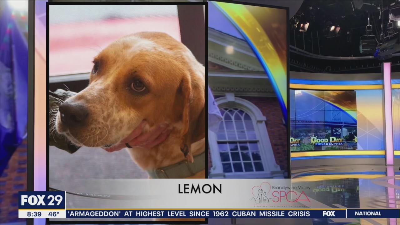 FurEver Home: October 9, 2022