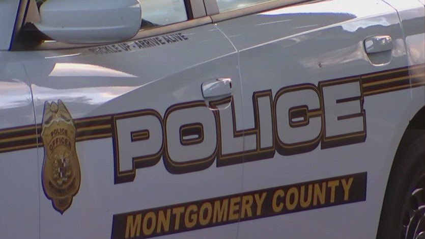 Teen accused of cross-county crime spree