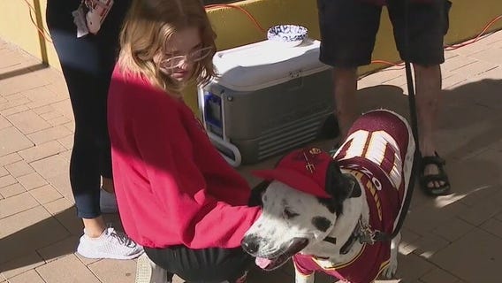 Barrett Honors College holds therapy dog event to help ASU students destress