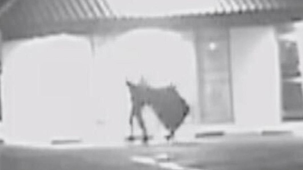 Thieves ransack San Bernardino arcade