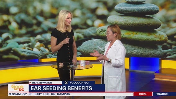 Ear Seeding Benefits