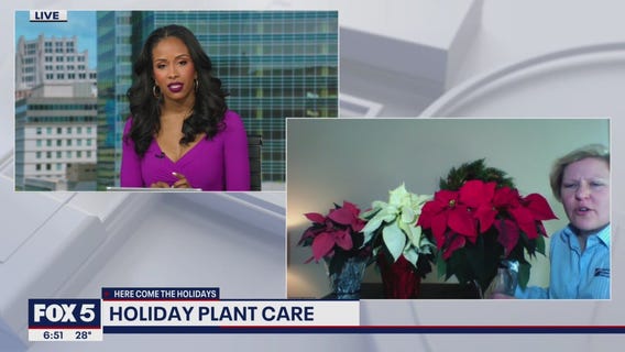 Holiday plant care tips