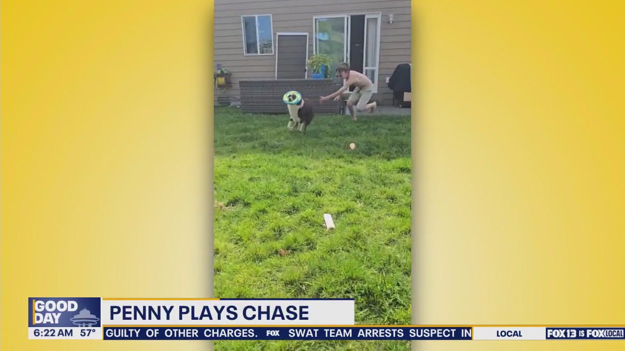 Pet Tricks for Friday, August 1