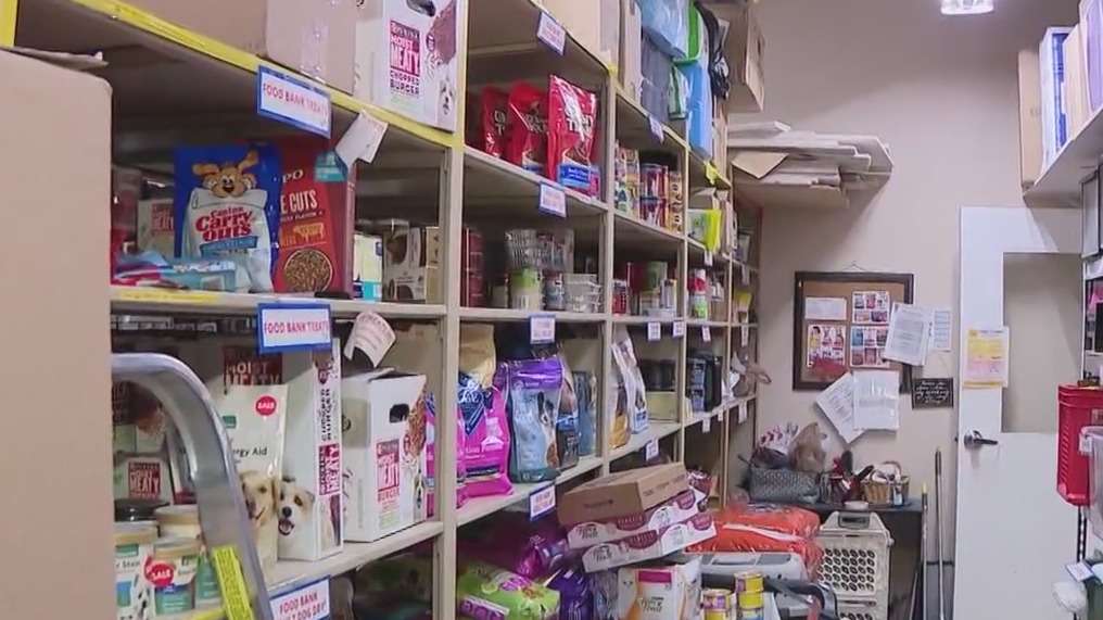 Lost Our Home Pet Rescue sets up pet food pantry to help families