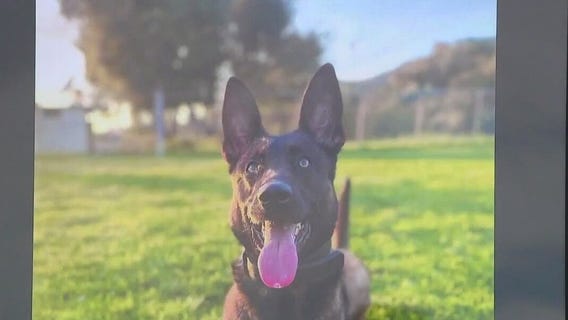 Memorial service for Burbank K9 'Spike'