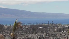 Hawaii Community Foundation: Maui Strong Fund