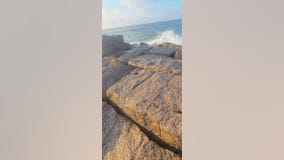 Couple rescue sea turtle trapped on Texas coast