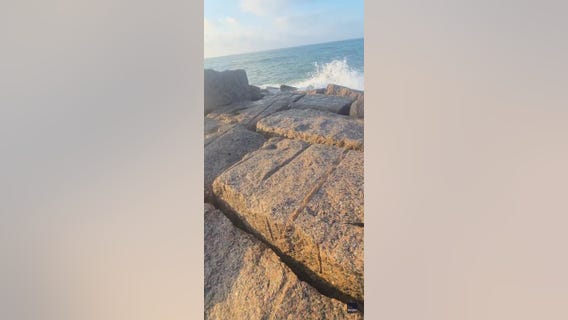 Couple rescue sea turtle trapped on Texas coast