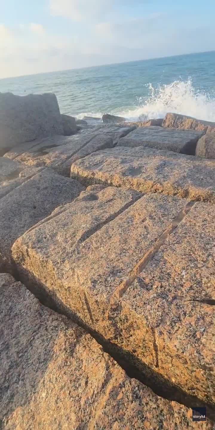 Couple rescue sea turtle trapped on Texas coast
