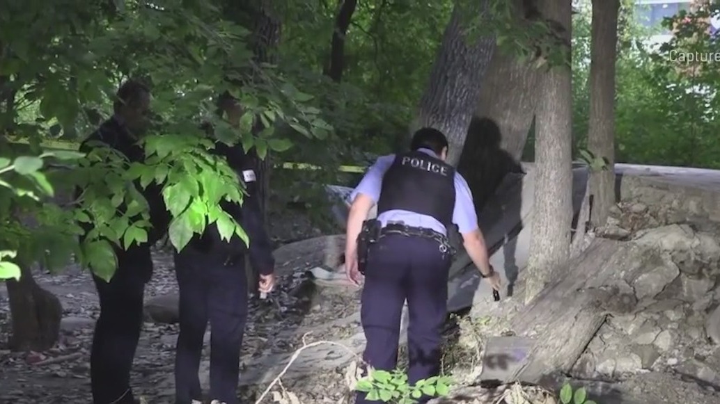 Chicago police investigate sexual assault of teen girl on North Side