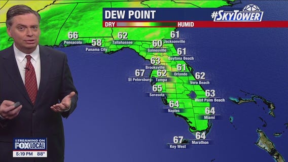 Tampa Weather | Above-average heat expected