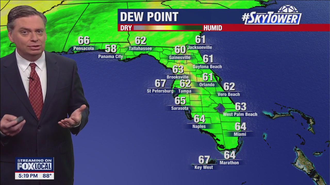 Tampa Weather | Above-average heat expected