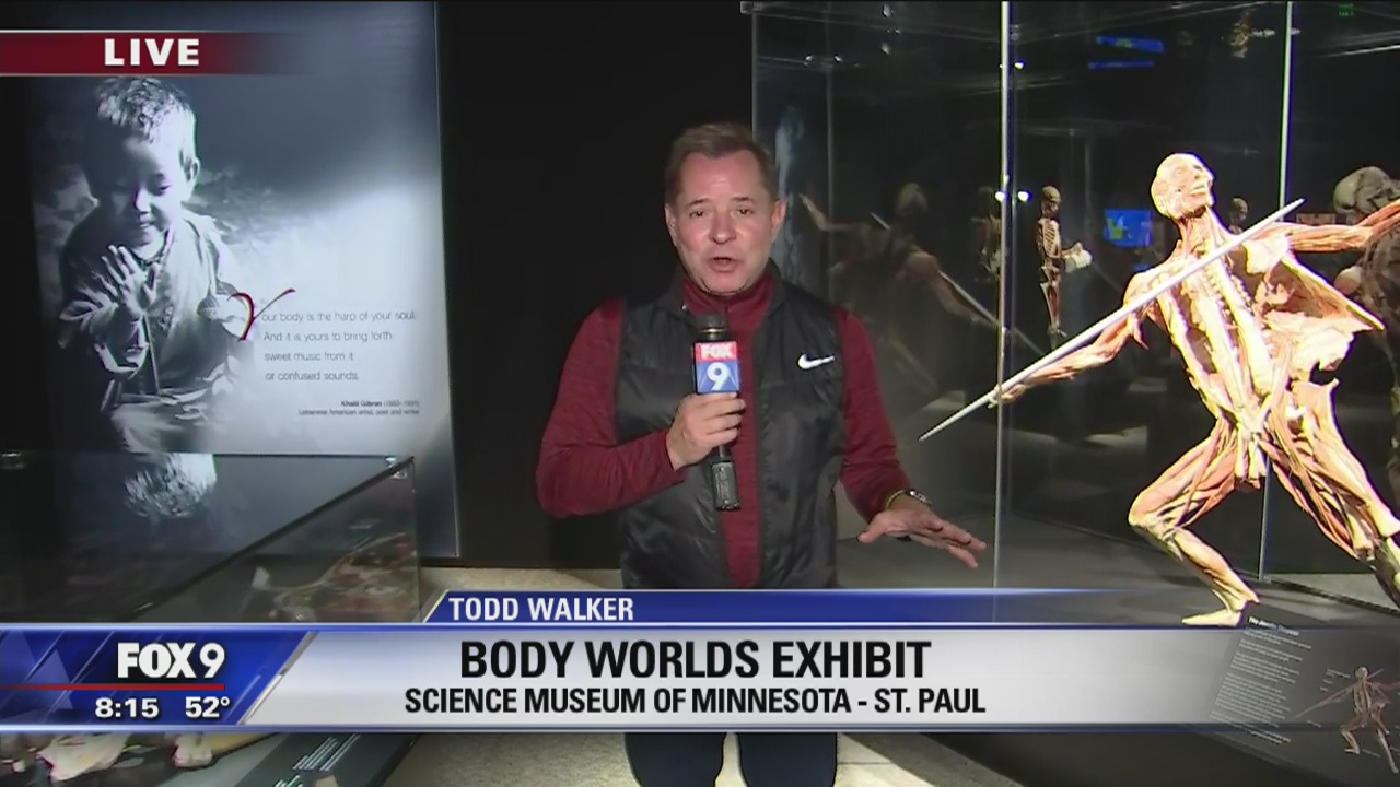 Todd Walker checks out new exhibits at the Science Museum of Minnesota