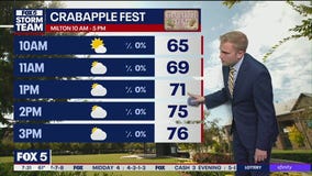 Saturday Fall Festival Forecast