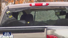 Suspect in Roseville shootout struggled with mental health