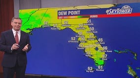 Tampa Weather | Thursday afternoon forecast