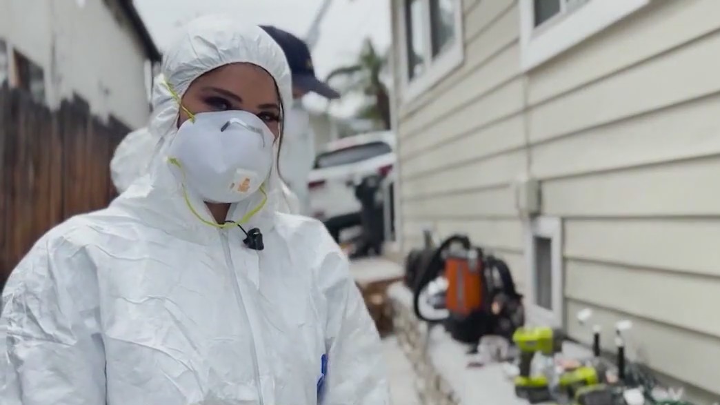 Jenn at Work: Getting rid of rats