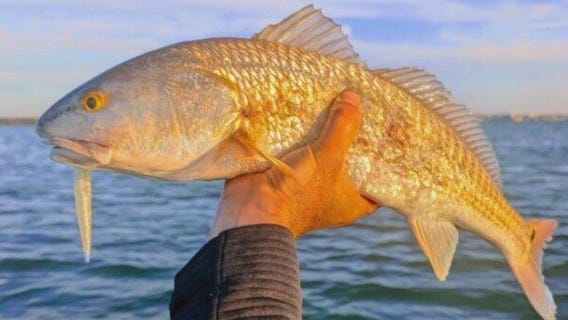 Friday fishing report: Feb. 28, 2025