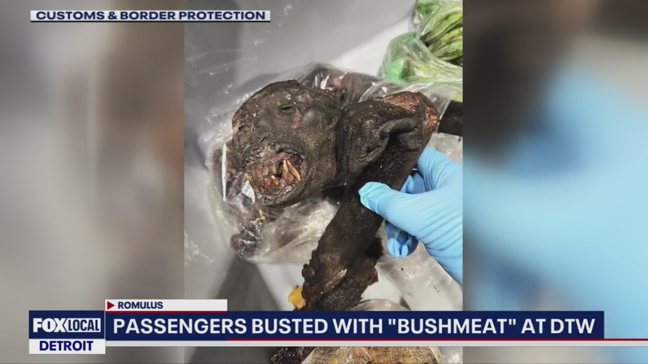 Passengers busted with 'bushmeat' at DTW