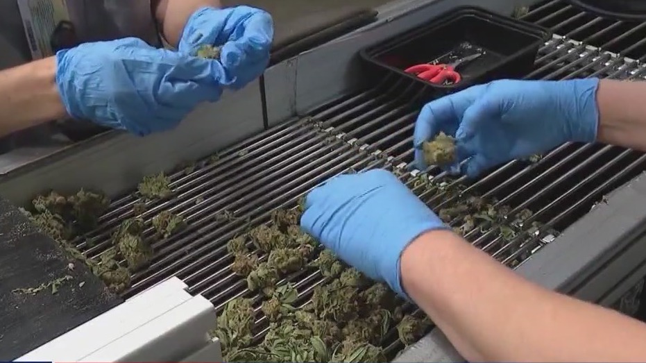 Activists demanding action on cannabis equity