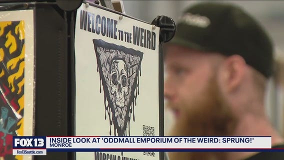 Inside look at 'Oddmall Emporium of the Weird: Sprung!'