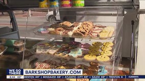 Kensington Derby & Arts Festival kicks off 15th year this weekend