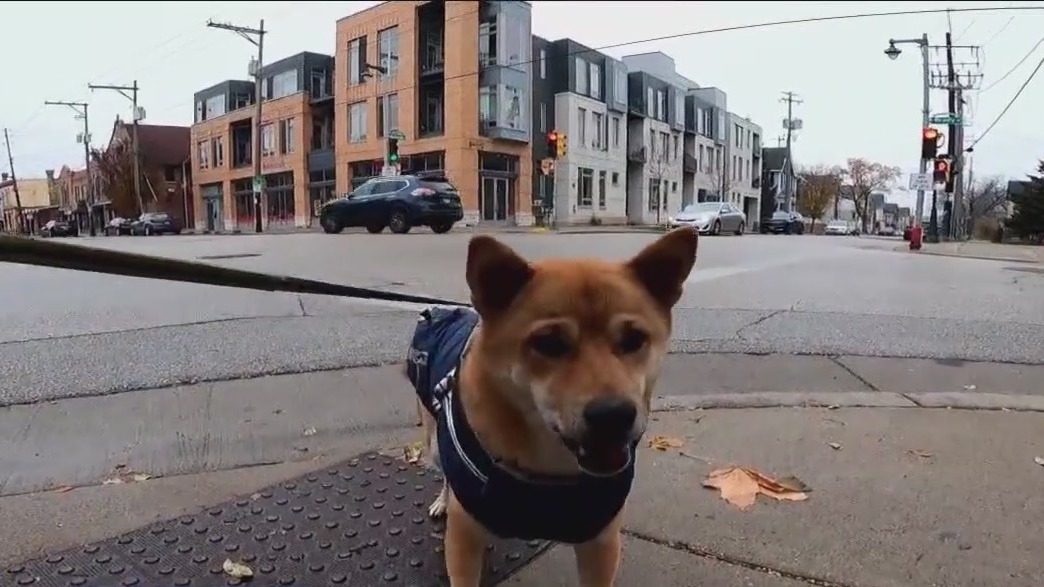 Brady Street traffic calming plan
