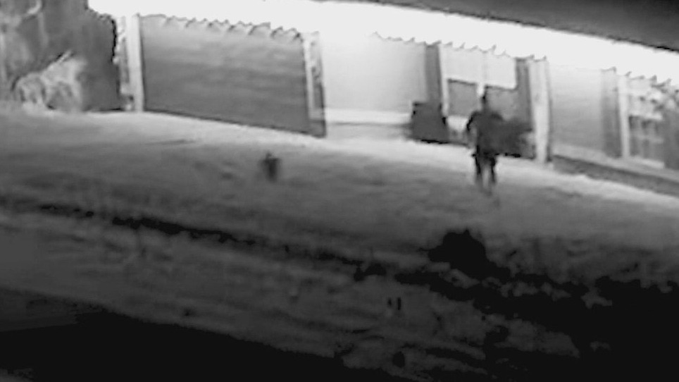 Across America: Man survives bear attack