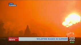 Explosion of fire caught on camera during live Q13 News report