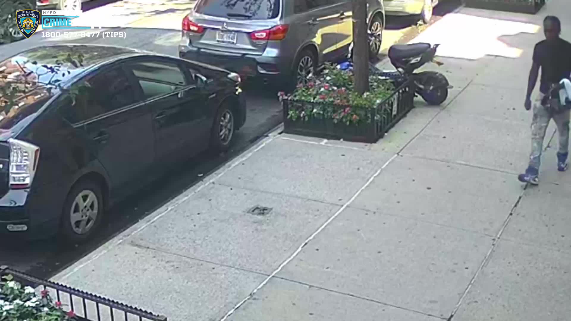 NYPD searching for anti-gay attack suspect | FOX 5 New York
