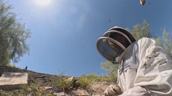 Beehive under control in Peoria neighborhood
