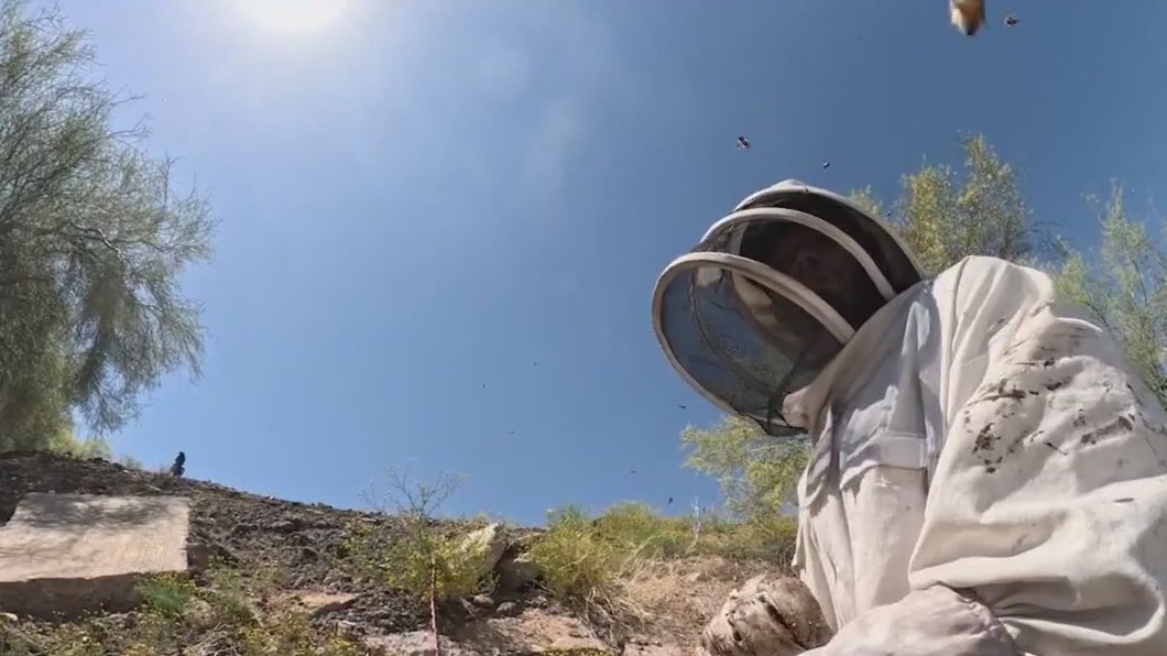 Beehive under control in Peoria neighborhood