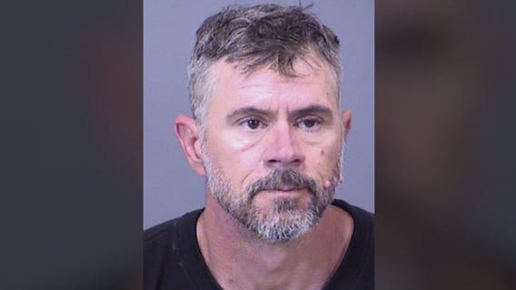 Mesa man accused of abusing girlfriend's cats