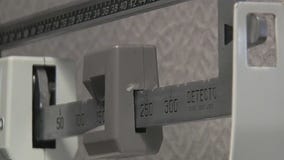 Researchers study weight loss vaccine on mice