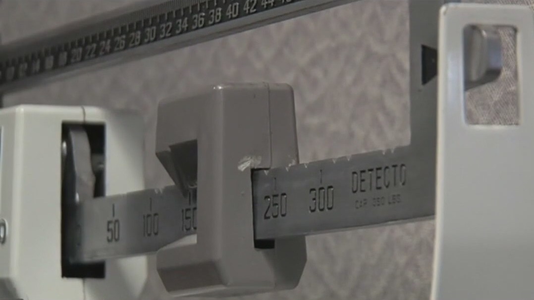 Researchers study weight loss vaccine on mice