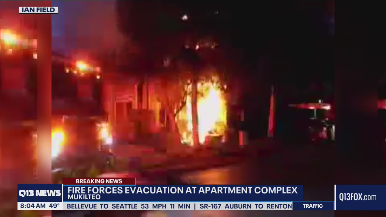 Dog killed in early morning Mukilteo fire