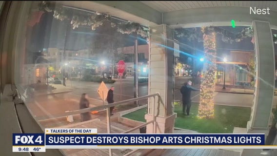 Man rips Christmas lights off tree in Dallas