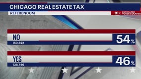 Illinois primary: Referendums on the ballot