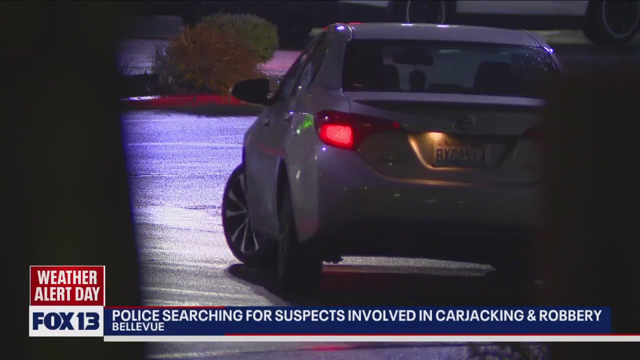 Police search for suspects involved in carjacking, robbery