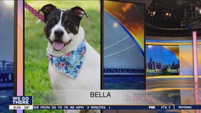 FurEver Home: December 11, 2022