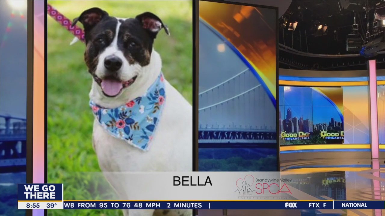 FurEver Home: December 11, 2022