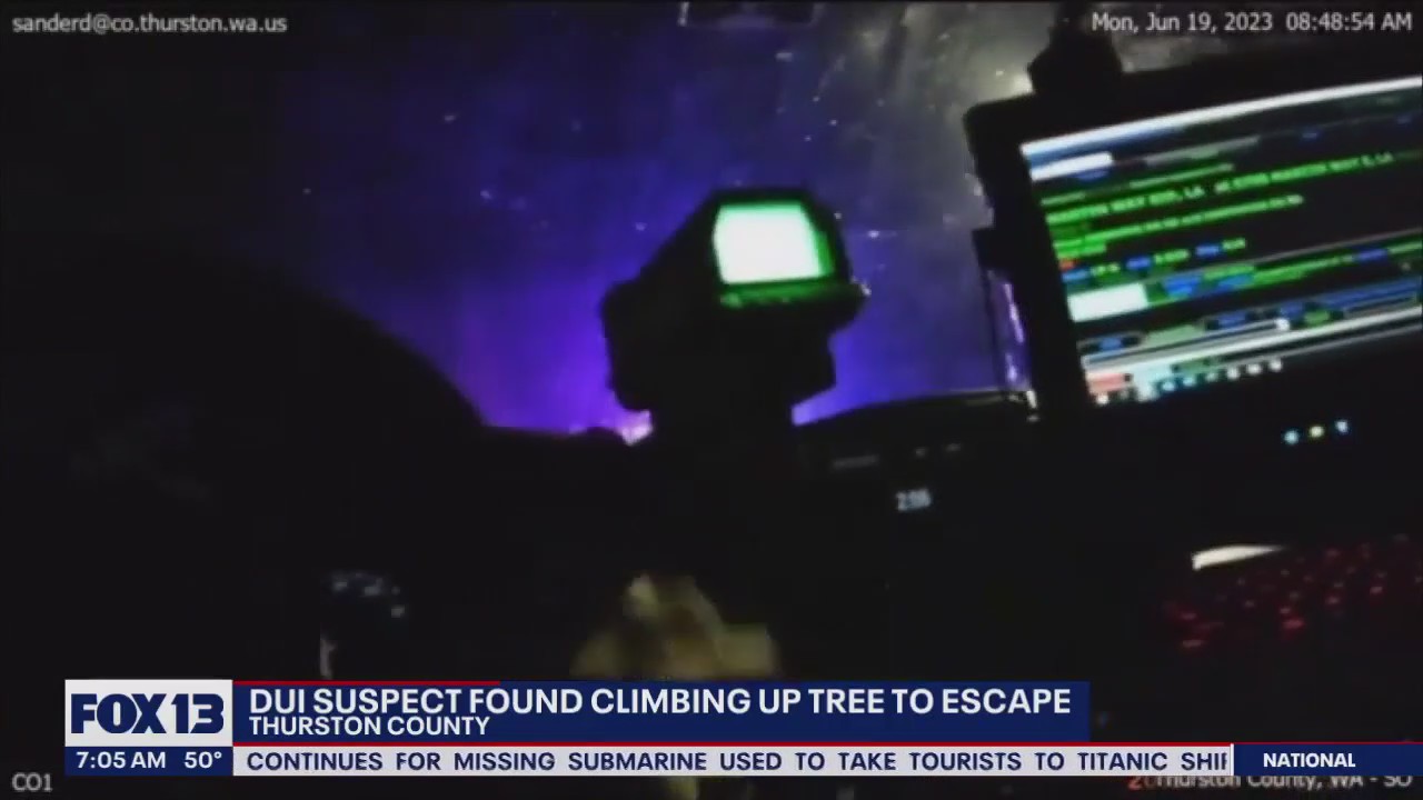 DUI suspect found climbing tree to escape