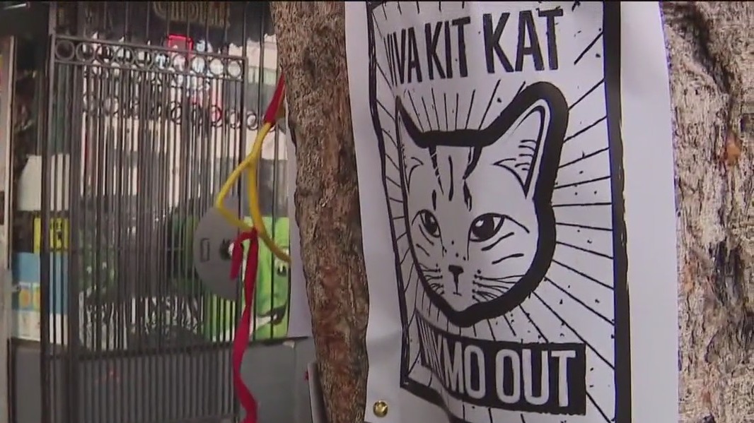 'Justice for KitKat': SF supervisor holds rally for autonomous vehicle regulation