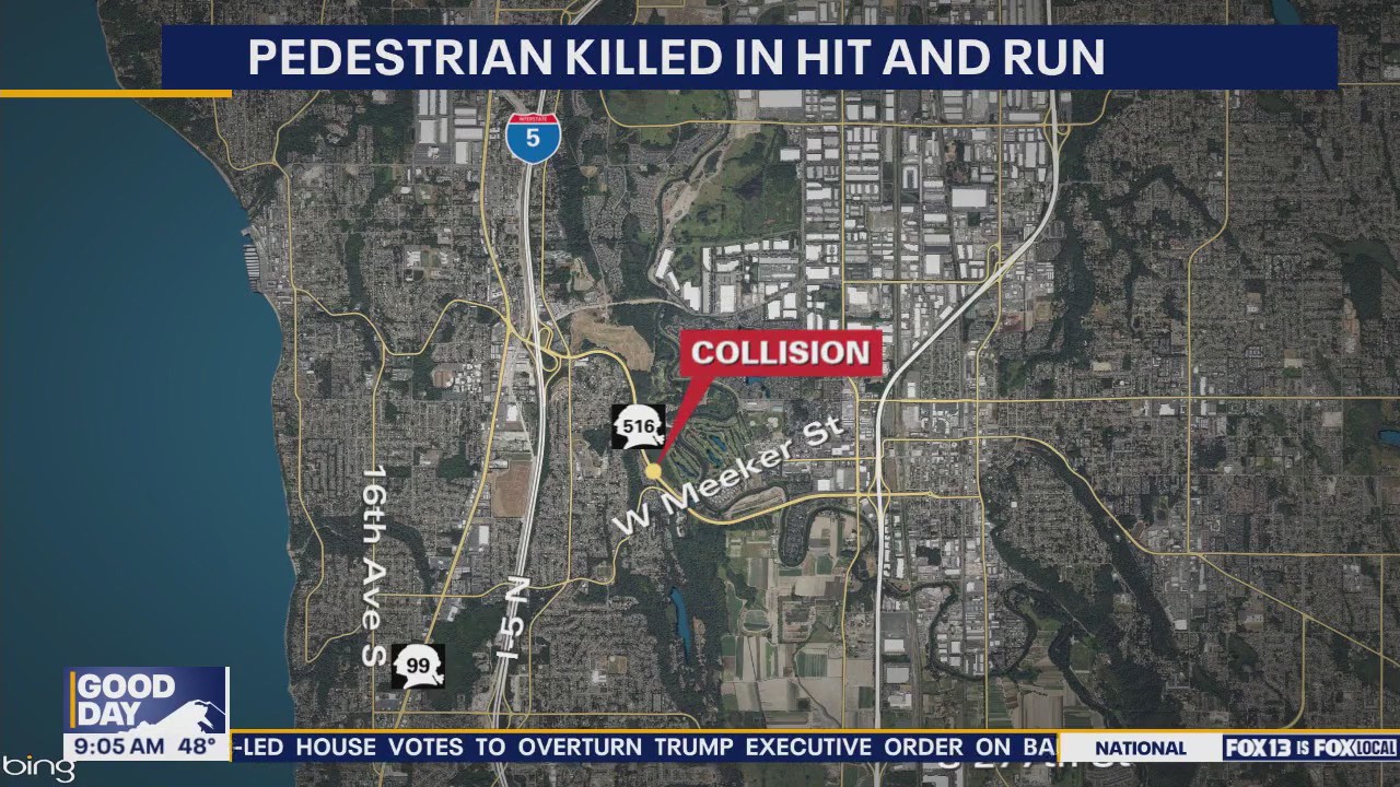 Man killed in hit-and-run on SR 516 in Kent, WA | FOX 13 Seattle