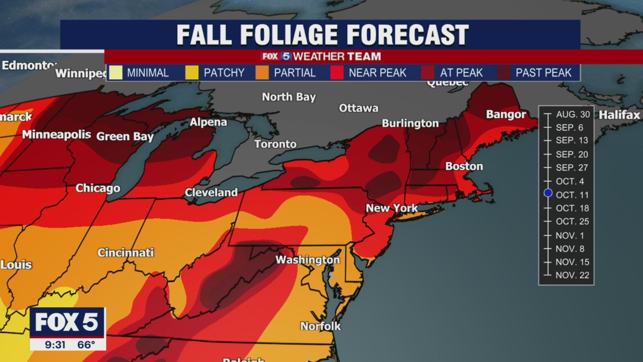 FOX 5 Weather forecast for Monday, October 11