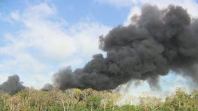 Houston news today: Power plant fire; teen shot; SNAP benefits